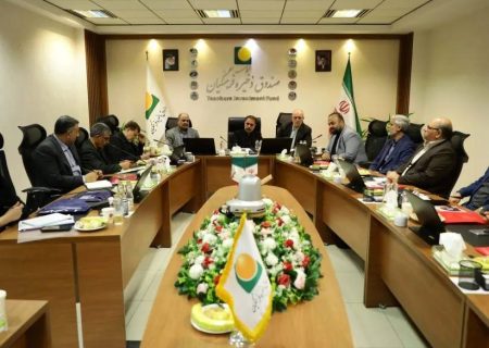 نشست شورای راهبردی بازرسی پتروشیمی برگزار شد