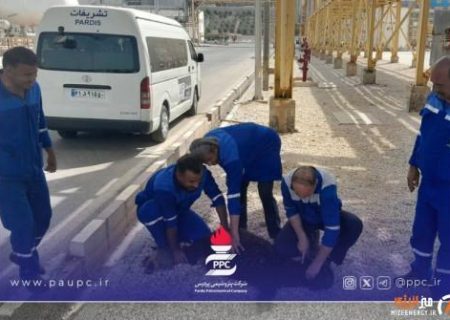 مسئولیت اجتماعی در عمل؛ ۱۰۰ رأس قربانی سهم مناطق پیرامونی پتروشیمی پردیس