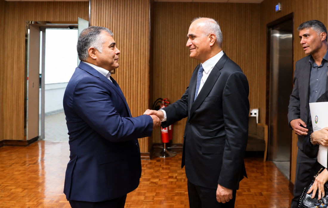 دیدار وزیر نفت با معاون نخستوزیر جمهوری آذربایجان