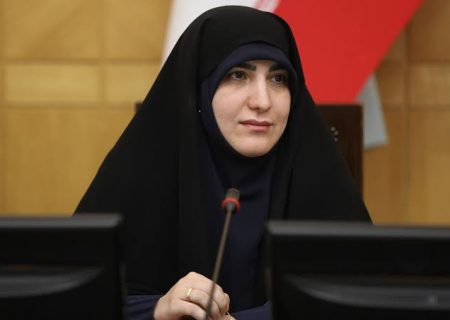 زینب قیصری رئیس کمیته پتروشیمی کمیسیون صنایع و معادن مجلس شد